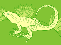 Water_dragon_teaser