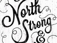 Thetruenorth2_teaser