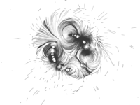 Stellar Magnetic Field Simulations