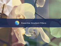 Essential Gradient Filters
