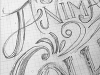 Animalcollective_gigposter_wip_teaser