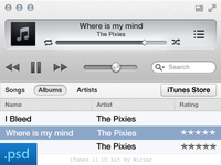 iTunes 11 Ui Kit