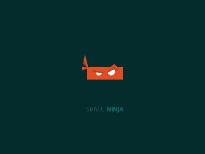 Space_ninja