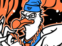 RGD Seagull