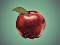 teacher's pet