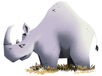 Rhino