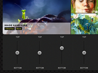 Image Tuner Interface