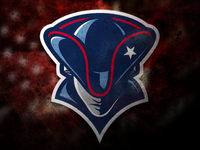 Patriots Logo Patriots Logo