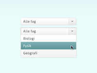 UI