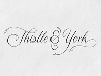 T&Y