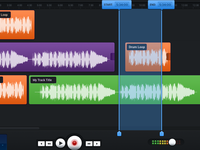 Web Based Track Editing