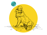 Woof_dribbble_teaser