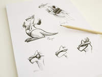 Kangaroo Sketches