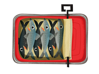 sardines 