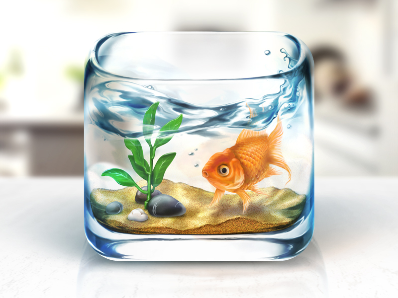 Fishbowl_2x