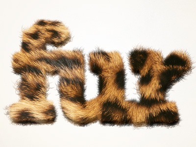 Fur Text