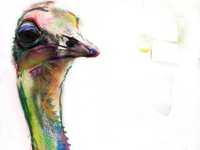 Em-hungry-ostrich_teaser