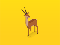 Springbok_teaser